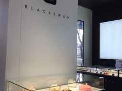 -BLACKSWAN黑天鹅(环球店)