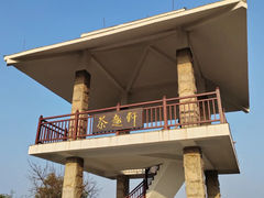 -东莞市大岭山森林公园