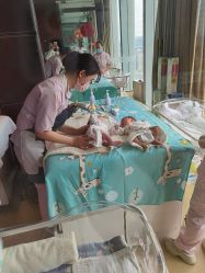 -大美母婴月子专护中心(紫峰店)