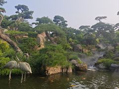 -罗红摄影艺术馆