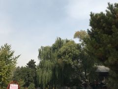 -晋祠公园