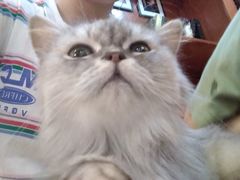 -万小咖.猫咖(中山路天虹店)
