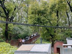 -马王堆汉墓遗址