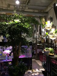 -周忆刺青原创设计定制