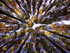 -山王坪喀斯特国家生态公园