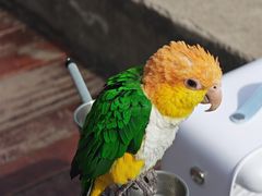 -Manner Coffee(徐汇滨江店)