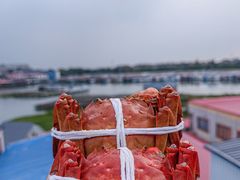 -君豪蟹都·湖景·农家乐(蟹舫苑店)