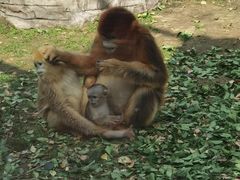 -大连森林动物园