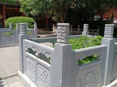 -兴教寺