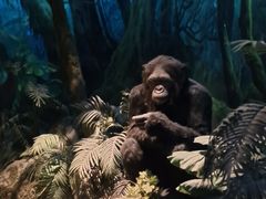 -国家自然博物馆