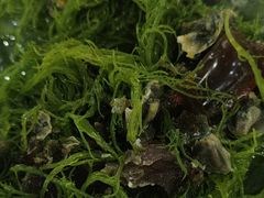 -考记泥焗鸡农庄·海鲜(北洛秘境店)