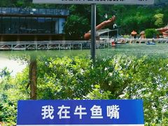 -牛鱼嘴原始生态风景区