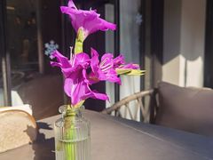 -Osteria Garden 生蚝花园餐厅(原进贤路店)