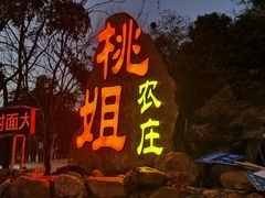 门面-桃姐农庄老字号(从化温泉店)