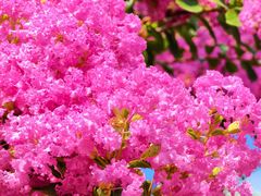 -杭州城北体育公园