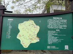 -北京凤凰岭