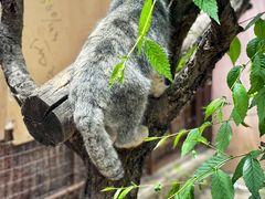 -青藏高原野生动物园