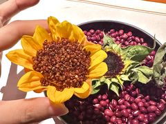 -觀芷隐轩
