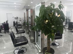 点击看大图 -Coo Hair salon