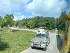 -上海野生动物园