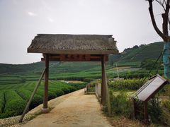 -听风阁农家私房菜茶楼(龙坞店)