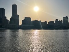 -上海滨江森林公园