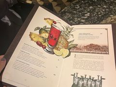 -Long Bar(莱佛士酒店)