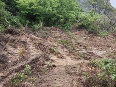 -木兰云雾山