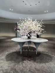 -广州美莱医疗美容医院