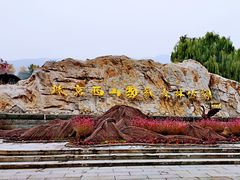 -北京西山国家森林公园