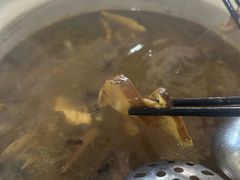 -杨记山珍鸡煲菌汤锅