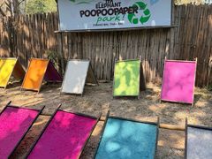 -大象粑粑造纸公园