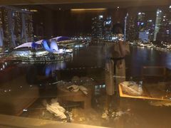 -新加坡丽思卡尔顿美年酒店