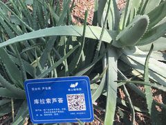 -南山植物园