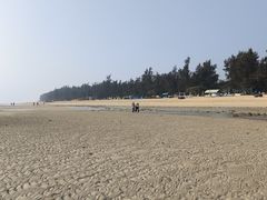 -贝壳沙滩