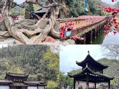 -三峡人家风景区