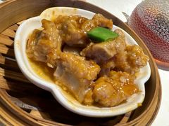 -点都德·毕德寮