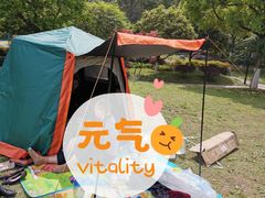 -重庆彩云湖湿地公园