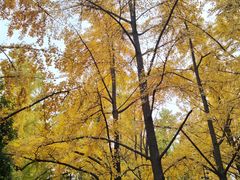 -唐城墙遗址公园