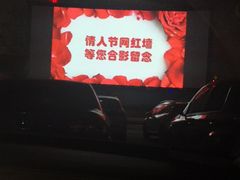 -枫花园汽车电影院(朝阳公园店)