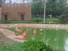 -太原动物园