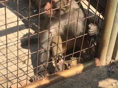 -山西乌金山旅游区