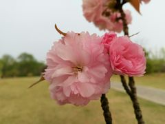 -钟山体育运动公园