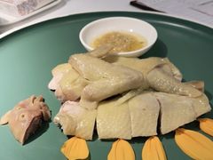 白切葵花鸡-陶陶居·雅园(凯华国际店)