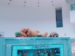 -济州岛泰迪熊博物馆