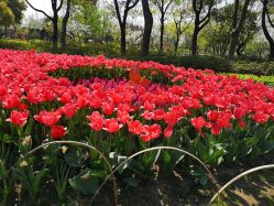 -玄武湖景区-情侣园游乐场