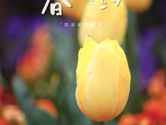 -徐家汇公园