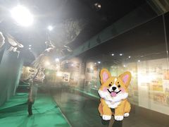 -温州博物馆