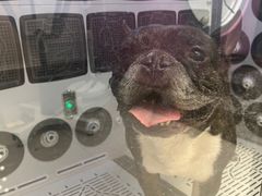 -FAELING PETS美天灵宠物(富力广场店)