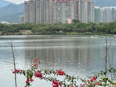 -飞来湖湿地公园